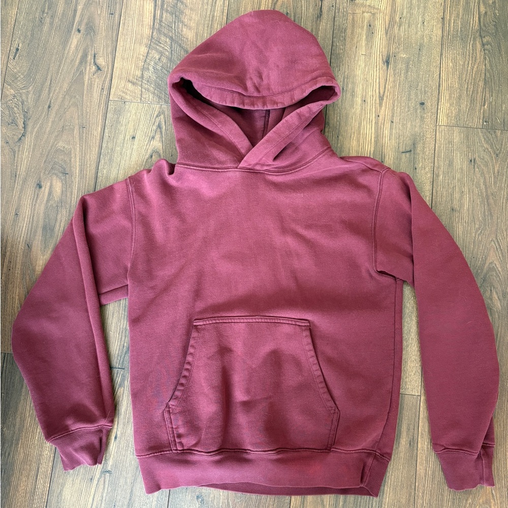 Aritzia TNA hoodie